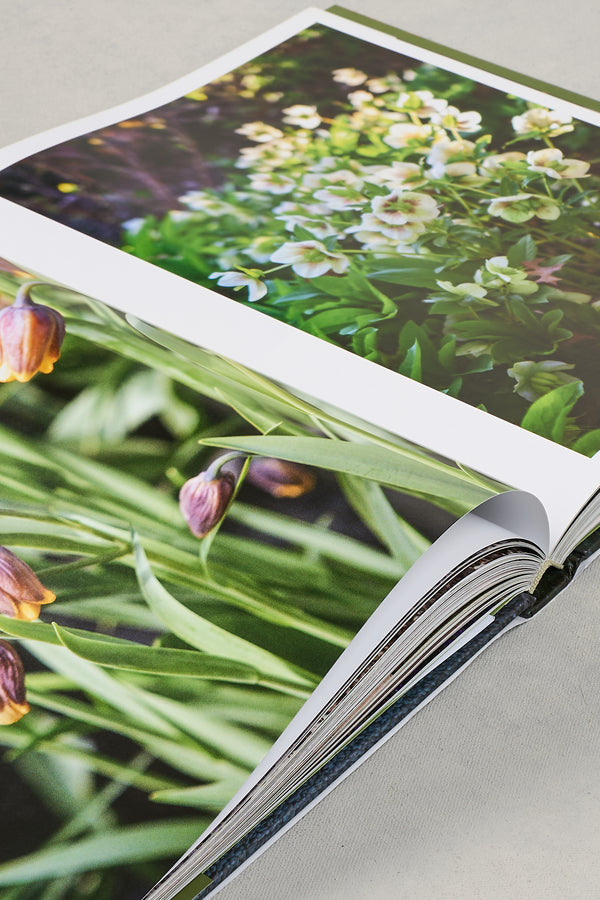 Stonefields Book - multicolour