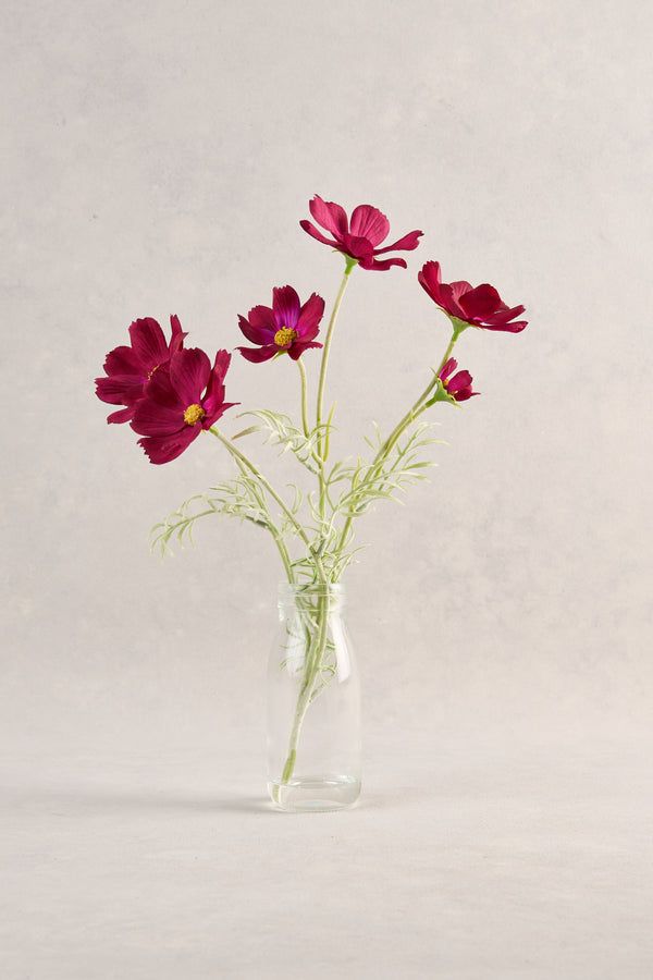 Cosmos Vase