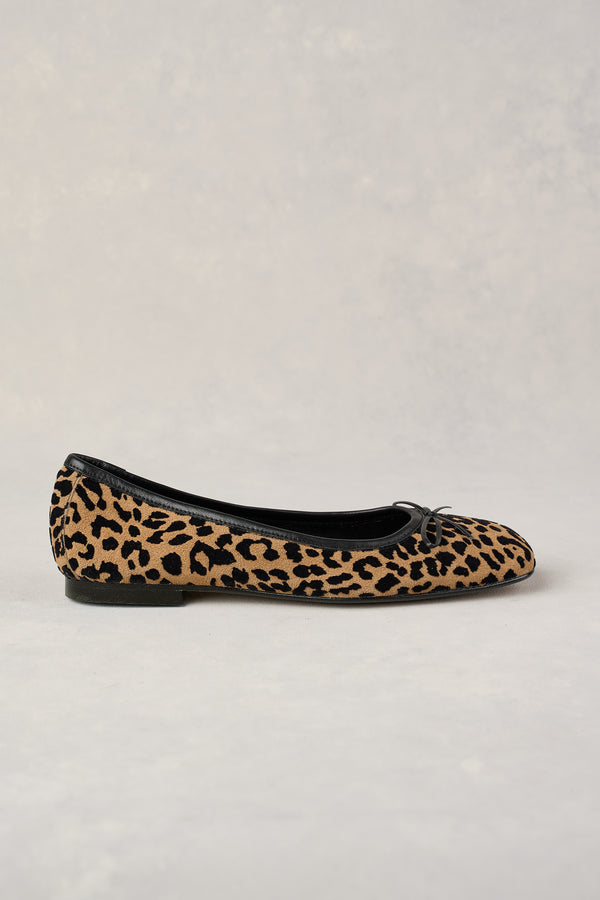 Leo Ballet Flat - Leopard Multi