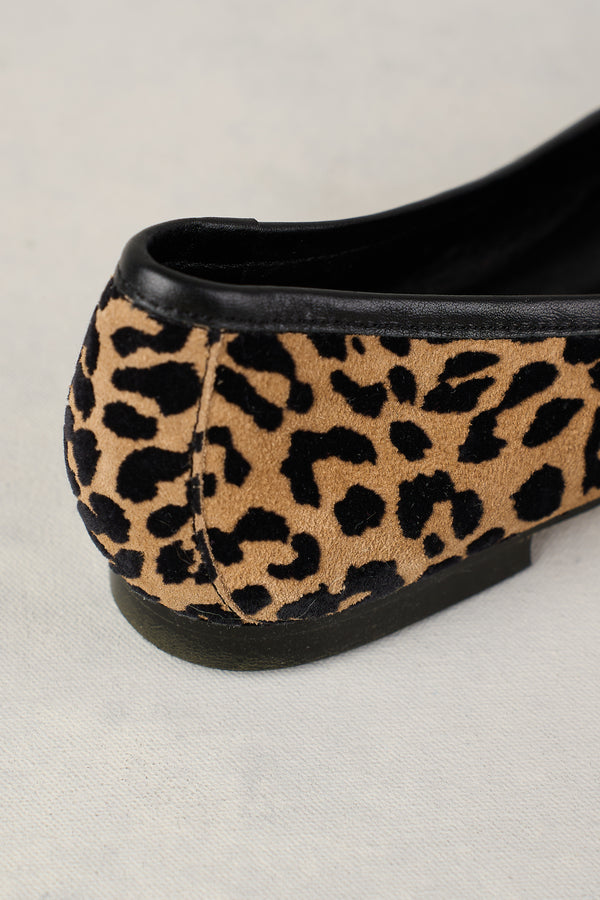 Leo Ballet Flat - Leopard Multi