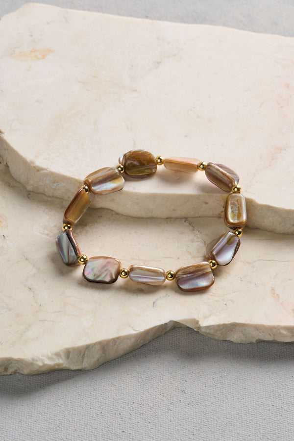 Shell Stretchy - Multicolour