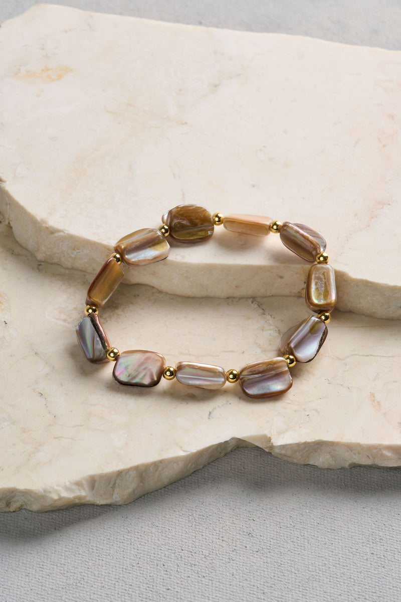 Shell Stretchy - Multicolour