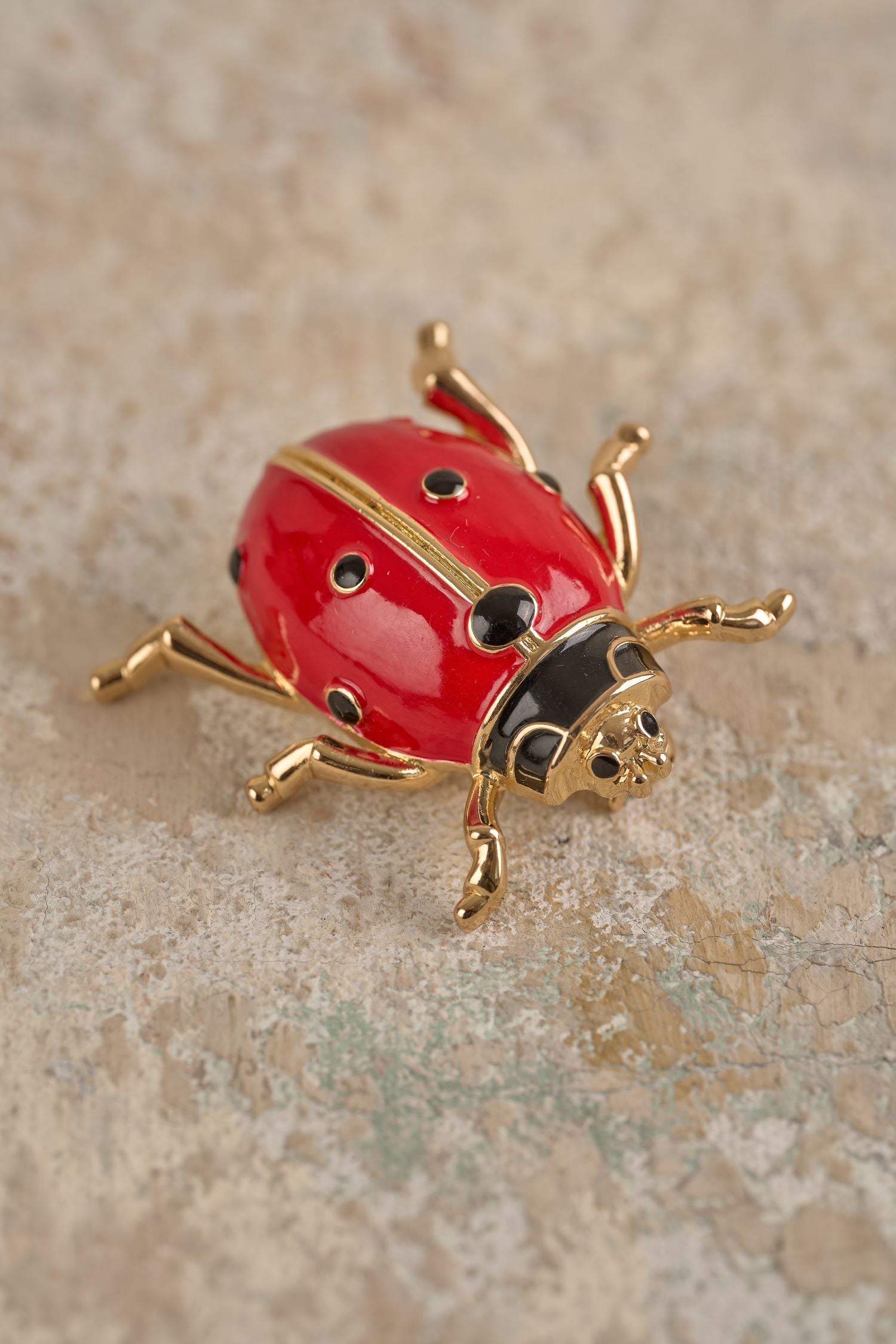 Bug brooch outlet