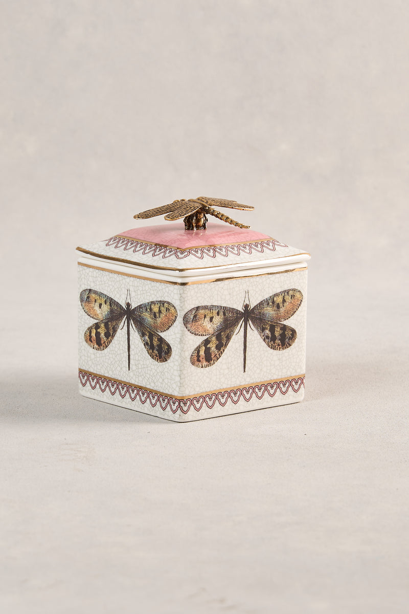 Trinket Box Dragonfly