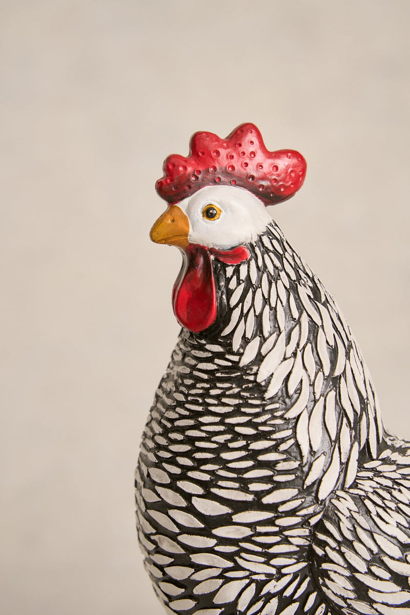 Medium Hen