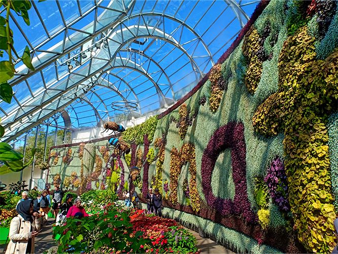 The Calyx, Royal Botanic Gardens, Sydney