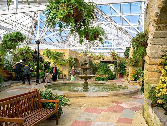 Royal Tasmanian Botanical Gardens, Tasmania