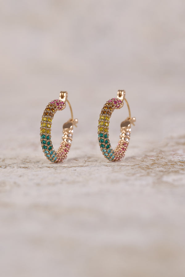 Rainbow Hoop Earrings