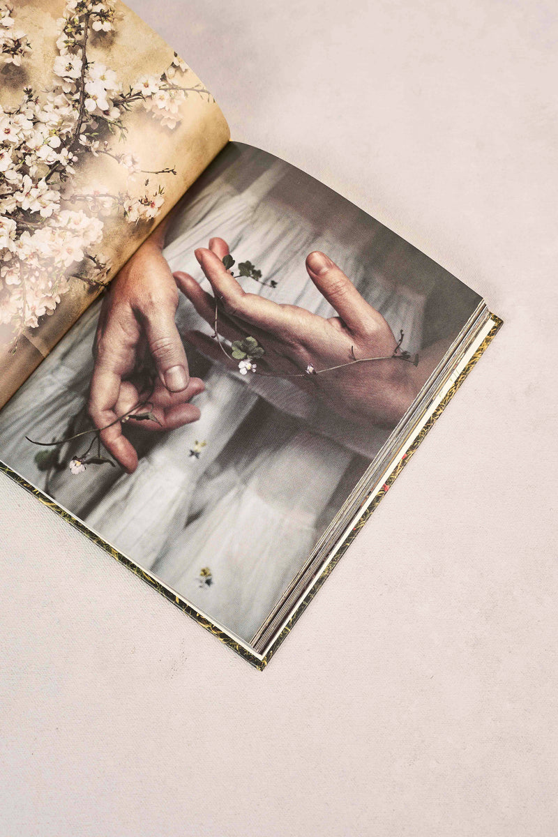 The Flowers of Provence Book