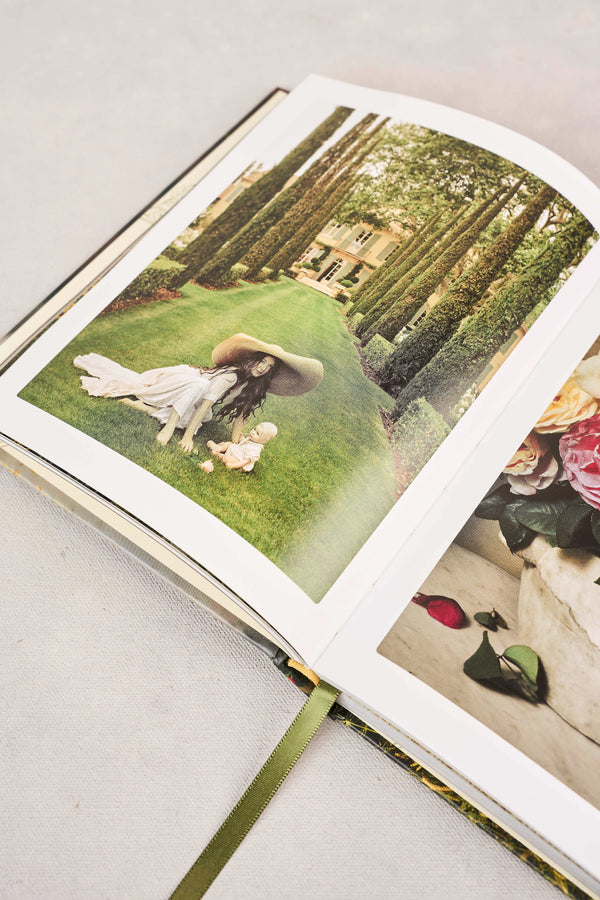 The Flowers of Provence Book