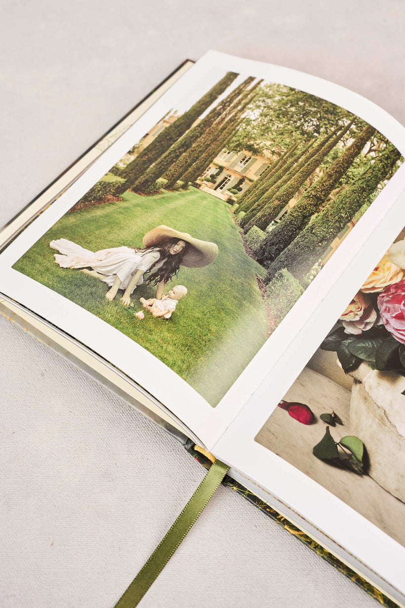 The Flowers of Provence Book